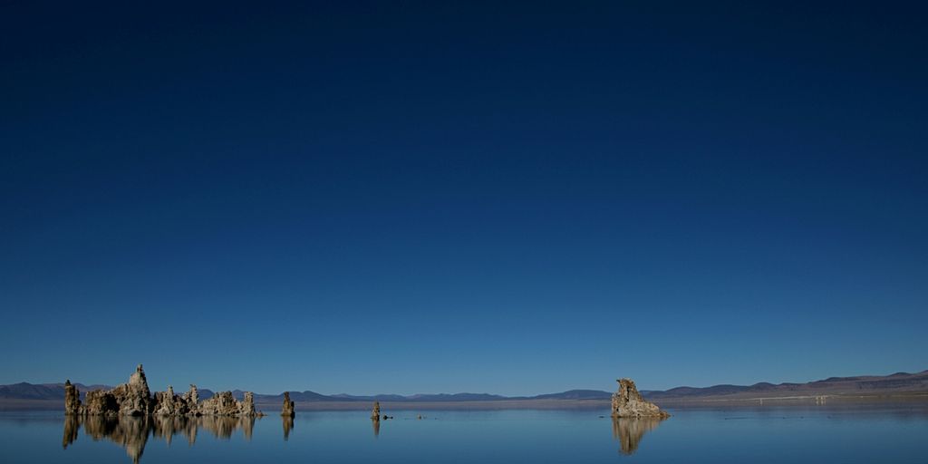 brown posts on body of water